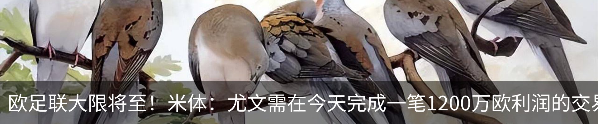 资讯动态