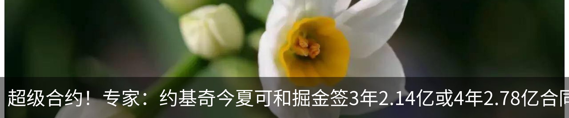 资讯动态